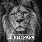 Roi Papa : La force d'un lion majestueux